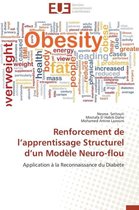 Renforcement de L Apprentissage Structurel D Un Mod�le Neuro-Flou