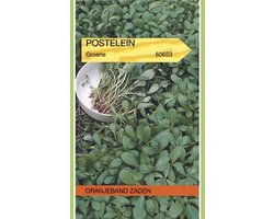 OBZ 660653 Postelein Groene