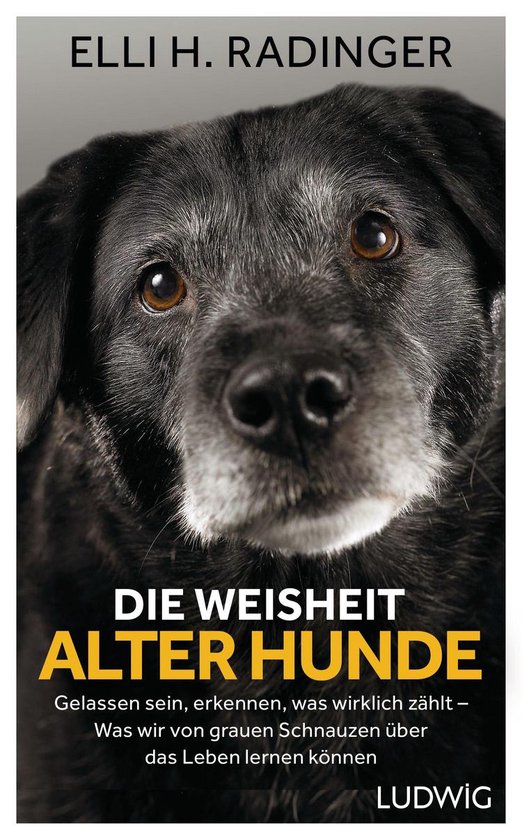 De wijsheid van oude honden, deksel met een zwart-grijze hond met wijze ogen.