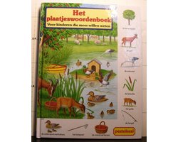 De kracht van wandelen: Shinrin yoku