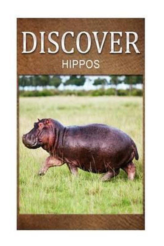 Hippos - Discover - cover