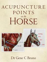 Acupuncture Points on the Horse