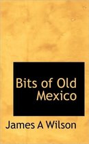 Bits of Old Mexico