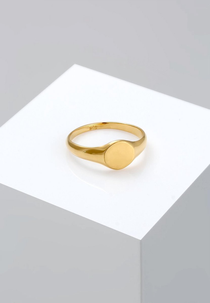 Elli Ring zegelring royal mat geo basic trend 925 zilver verguld