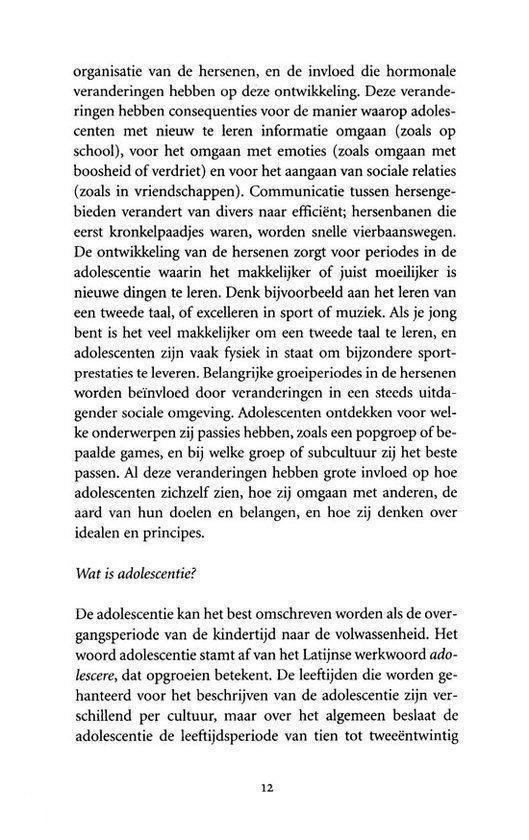 Het puberende brein