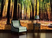 Forest Woods Photo Wallcovering