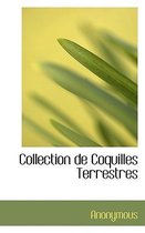 Collection de Coquilles Terrestres