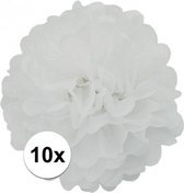 10x stuks Witte decoratie pompom 25 cm