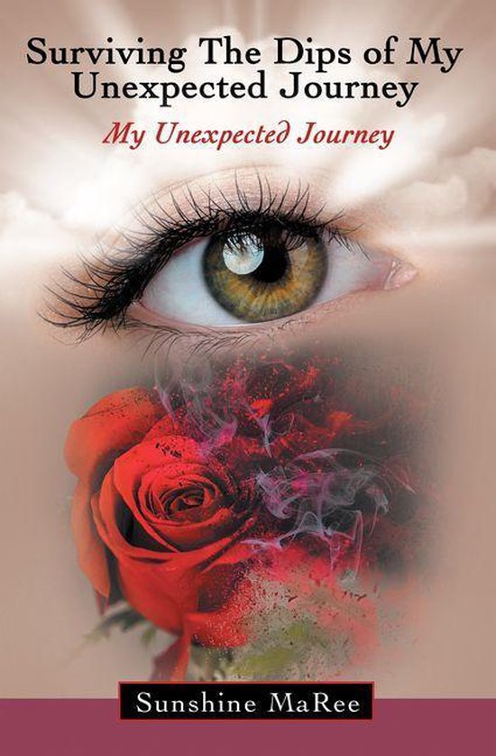 Surviving the Dips of My Unexpected Journey - cover