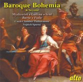 Baroque Bohemia: Myslivecek Etc