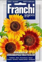 Franchi - Girasole Ornamentale Mix - Zonnebloemen mix
