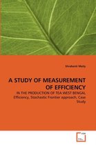 A Study of Measurement of Efficiency