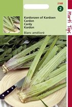 Hortitops Zaden - Kardonzen, Plein Blanc Inerme