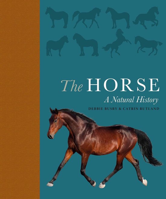 The Horse - cover