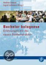 Bachelor bolognese. Erfahrungen mit der neuen Studienstruktur