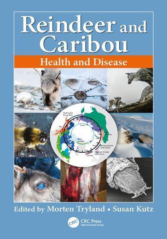 Reindeer and Caribou - cover