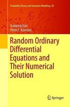 Probability Theory and Stochastic Modelling- Random Ordinary Differential Equations and Their Numerical Solution