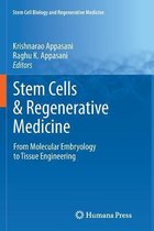 Stem Cells & Regenerative Medicine