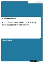 Boek cover Was bedeutet Mittelalter? / Bearbeitung einer mittelalterlichen Urkunde van Greßhöner, Kristine