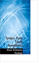 Synopsis Florae Fossilis Senogalliensis