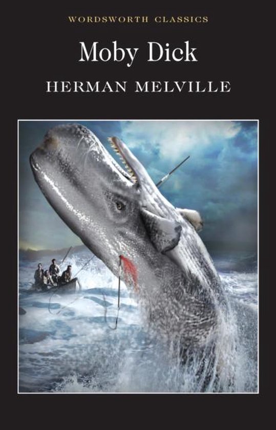 Boek cover Moby Dick van Herman Melville (Paperback)