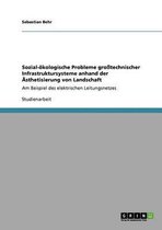 Sozial-oekologische Probleme grosstechnischer Infrastruktursysteme anhand der AEsthetisierung von Landschaft