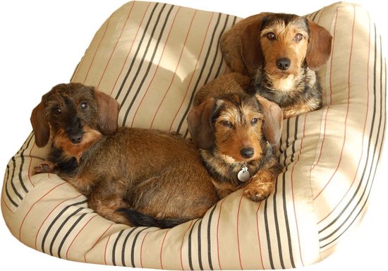 Coussin Dog's Companion Dog - XS - 55 x 45 cm - Rayure champêtre