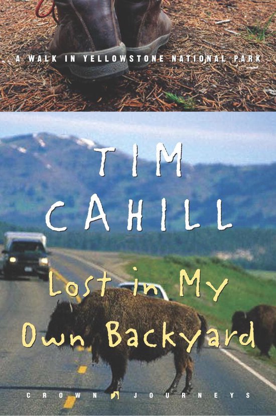 Lost in My Own Backyard - cover