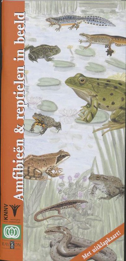 Cover van het boek 'Amfibieen en reptielen in beeld' van Frank Bos