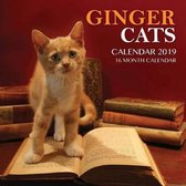 Ginger Cats Calendar 2019
