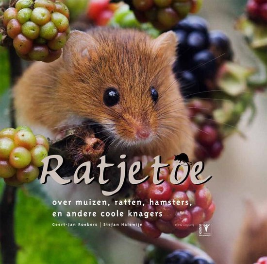 Ratjetoe - Geert-Jan Roebers | Nextbestfoodprocessors.com