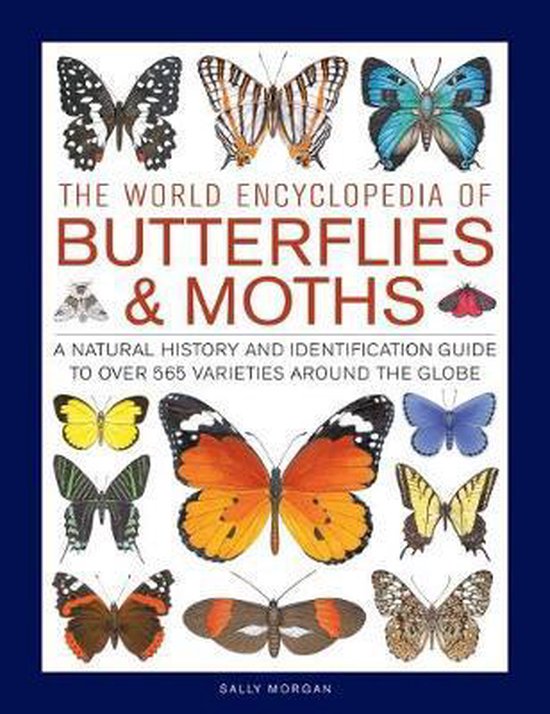 The World Encyclopedia of Butterflies Moths A Natural Histor ... - cover