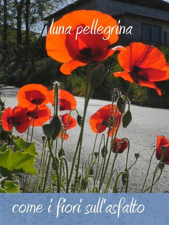 Come fiori sull'asfalto - cover