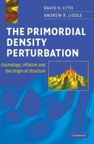 Primordial Density Perturbation