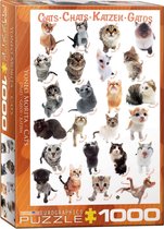 Eurographics Cats 1000pcs Legpuzzel 1000 stuk(s) Dieren