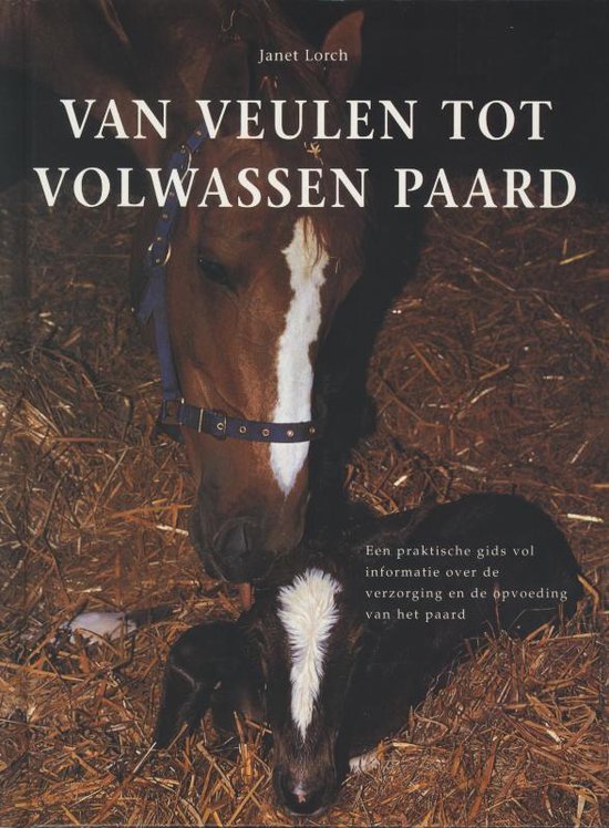 Van Veulen Tot Volwassen Paard - J. Lorch | Stml-tunisie.org