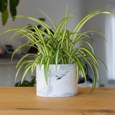 Design Marmer Bloempot - Grote Planten Pot - Keramische Pot - Joske’s Pottery - Handgemaakt in Nederland