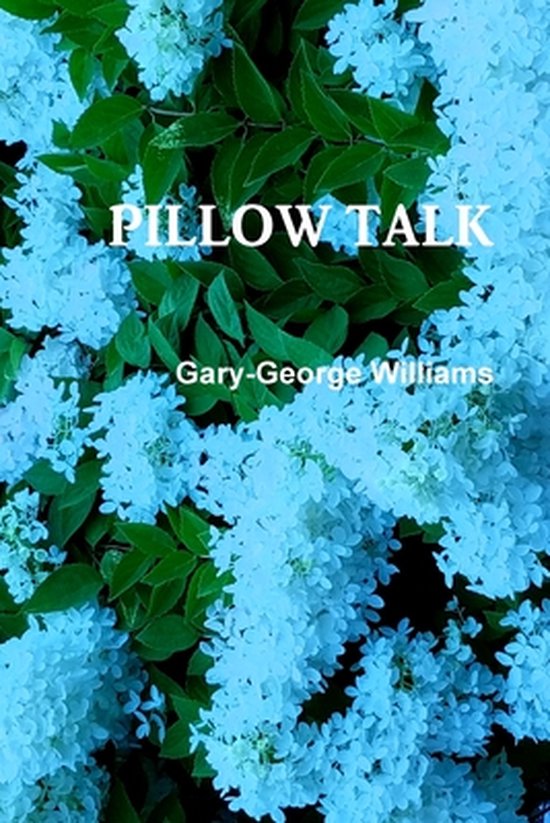 PILLOW TALK, Williams 9781794822511 Boeken bol