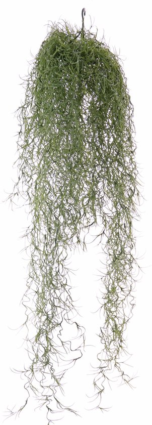 Mousse espagnole (Tillandsiahanger) - plante artificielle - 75cm - 122 rameaux - résistant aux UV - avec crochet de suspension