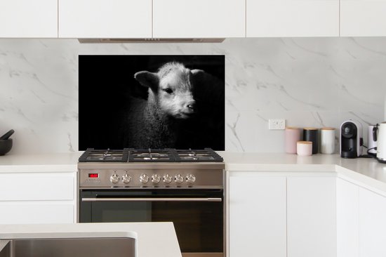 Spatscherm keuken Kruiden en specerijen