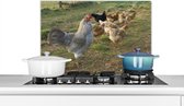 Spatscherm keuken 60x40 cm - Kookplaat achterwand Haan tussen de kippen in het gras - Muurbeschermer - Spatwand fornuis - Hoogwaardig aluminium