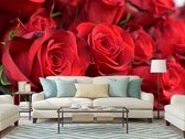 Professioneel Fotobehang close up van rode rozen - rood - Sticky Decoration - fotobehang - decoratie - woonaccesoires - inclusief gratis hobbymesje - 385 cm breed x 260 cm hoog - in 7 verschi