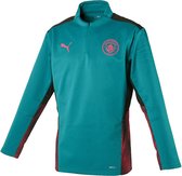 Puma Manchester City FC Sporttrui - Maat L  - Mannen - aquablauw - zwart - roze