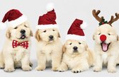4 X PLACEMAT - MERRY PUPS-MAS - Kerst Honden - Kerst Vrienden - Kerst Muts - 28,5x43,5cm