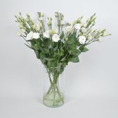 Bos Eustoma Wit- 10 stuks - VERSE SNIJBLOEMEN - 80cm - Bos Lissianthus Wit - GRATIS VERZENDING