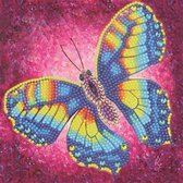 Diamond Painting Kaart Rainbow Butterfly A79