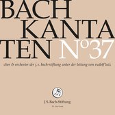 Choir & Orchestra Of The J.S. Bach Foundation, Rudolf Lutz - Bach: Bach Kantaten 37 (CD)