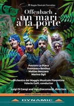Orchestra Del Maggio Musicale Fiorentino, Valerio Galli - Offenbach: Un Mari À La Porte (DVD)