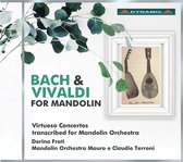 Mauro And Claudio Terroni, Mandolin Orchestra Mauro - Bach & Vivaldi For Mandolin (CD)
