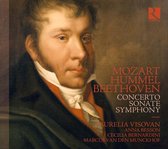 Anna Besson, Cecilia Bernadini, Aurelia Visovan - Concerto - Sonate - Symphony (CD)